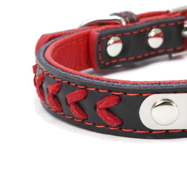 Arrow Pattern Dog Collar (Red) - PawdyGuard