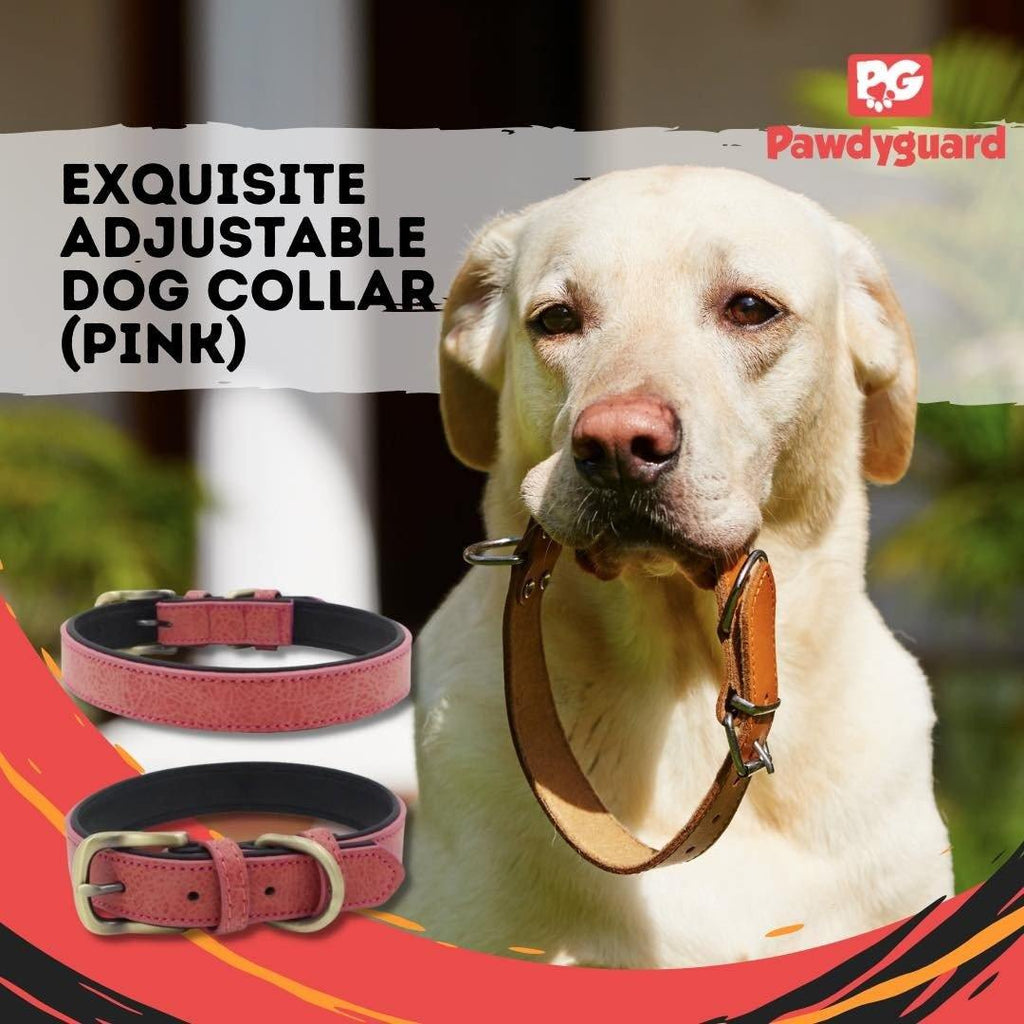 An exquisite adjustable dog collar,... - PawdyGuard
