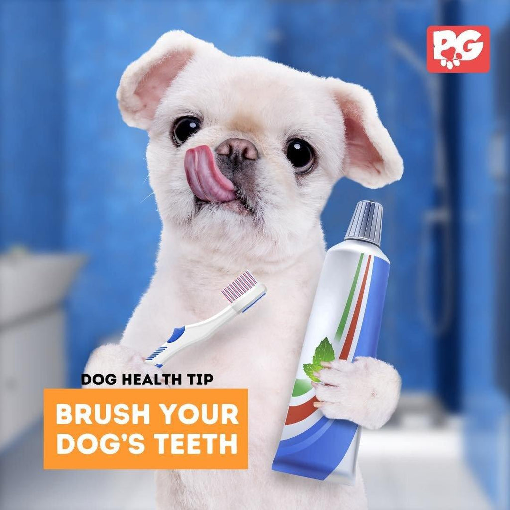 Brushing your dog's teeth is... - PawdyGuard