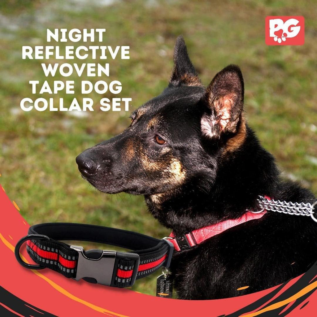 This Night Reflective Woven Tape... - PawdyGuard