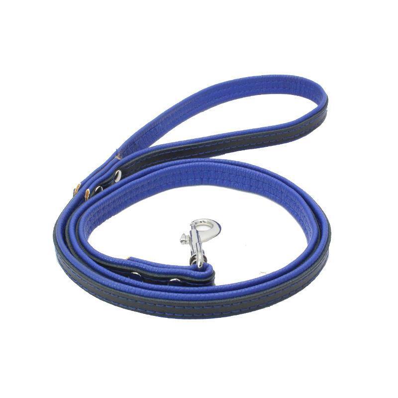 Leather Loop Handle Dog Leash (Blue) - PawdyGuard