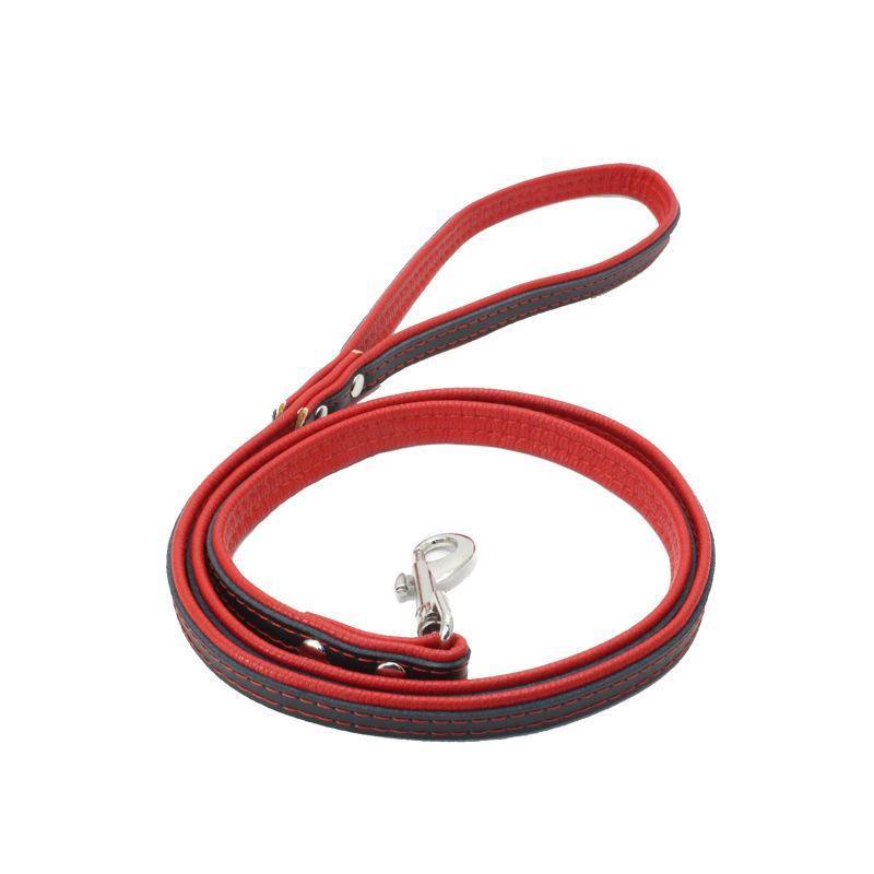 Leather Loop Handle Dog Leash (Red) - PawdyGuard