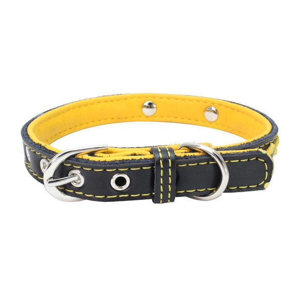 Arrow Pattern Dog Collar (Yellow) - PawdyGuard