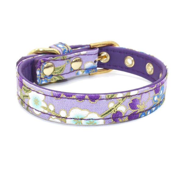 Floral Pattern Dog/Cat Collar (Purple) - PawdyGuard