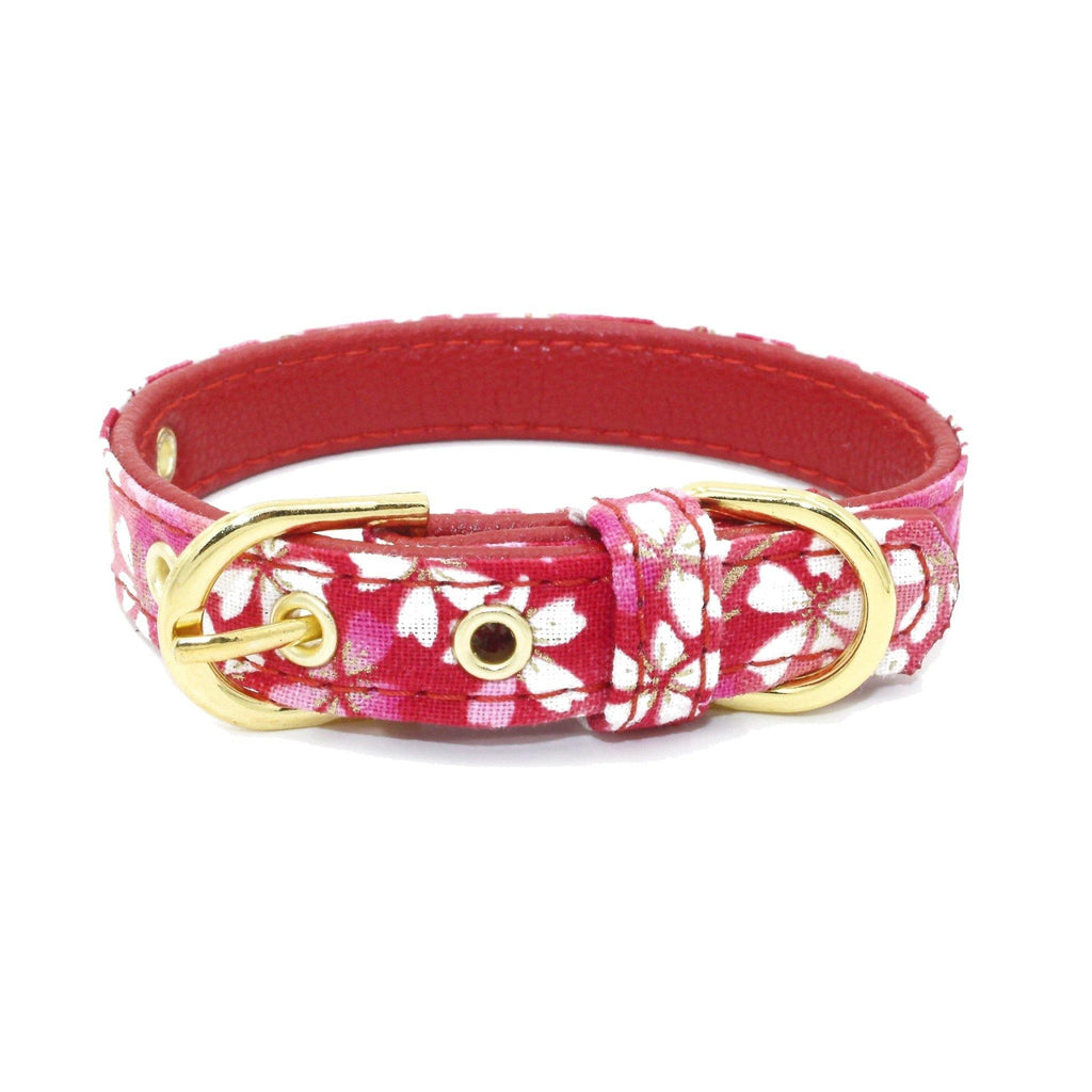 Floral Pattern Dog/Cat Collar (Red) - PawdyGuard