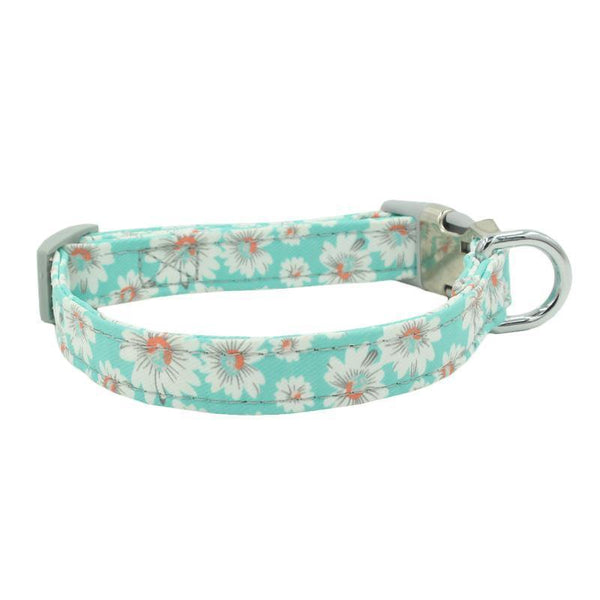 Paisley Pattern Dog Collar (Flower) - PawdyGuard
