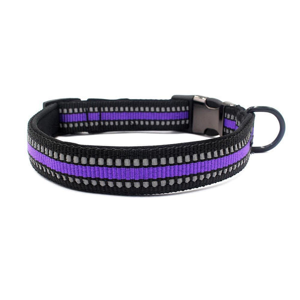 Reflect Woven Tape Dog Collar (Purple) - PawdyGuard