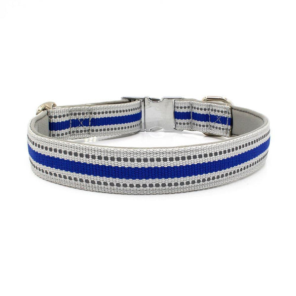Reflective Stripe Dog Collar (Blue) - PawdyGuard
