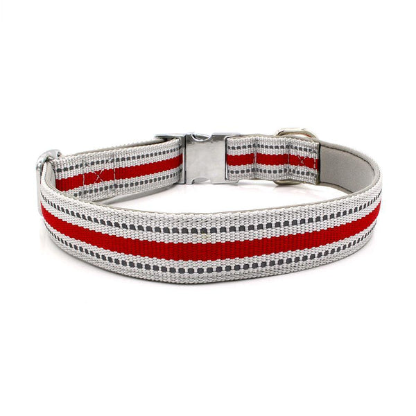 Reflective Stripe Dog Collar (Red) - PawdyGuard