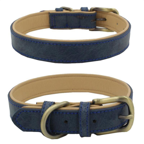 Exquisite Adjustable Dog Collar (Blue) - PawdyGuard