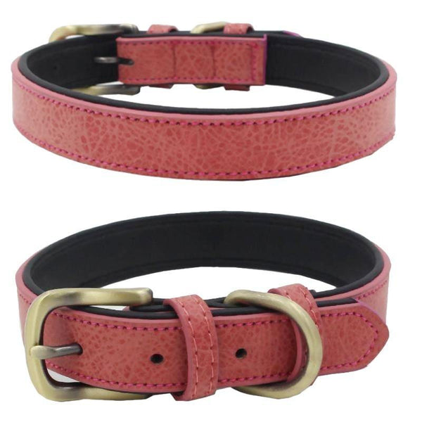 Exquisite Adjustable Dog Collar (Pink) - PawdyGuard