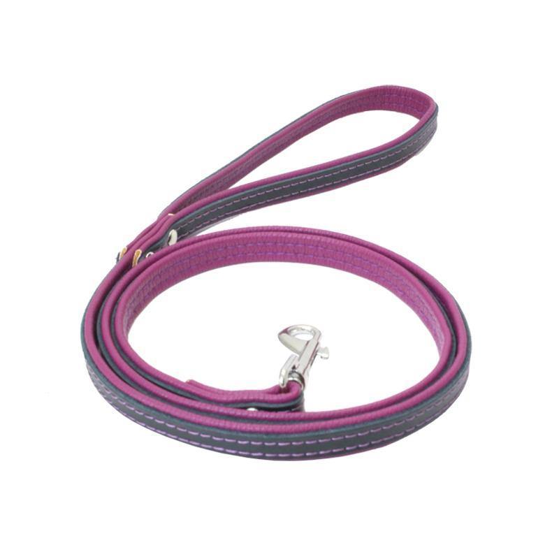 Leather Loop Handle Dog Leash (Purple) - PawdyGuard