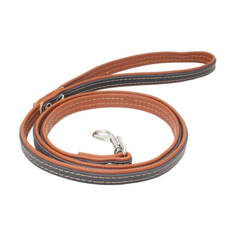 Leather Loop Handle Dog Leash (Brown) - PawdyGuard