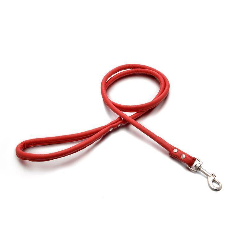 PU-Leather Dog Loop Handle Leash (Red) - PawdyGuard